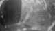 Houlgate 30.04.2025 04:20