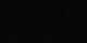 Gryon 07.06.2025 04:25