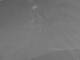 Corpus Christi, Texas 20.06.2025 04:30