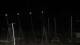 La Bernerie-en-Retz 30.04.2025 04:31