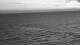 Wenduine 15.06.2025 04:31