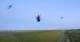 Westerhever 20.06.2025 04:31