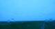 Westerhever 09.06.2025 04:31