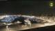 Marsiglia 15.06.2025 04:26