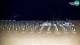 Bibione 17.07.2025 04:34