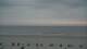 Norderney 12.05.2025 04:32