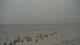 Norderney 09.06.2025 04:32