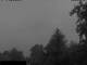 Miehlen 09.06.2025 04:33