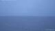 Knebel 09.06.2025 04:33