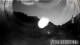 Lech 09.06.2025 04:33