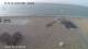 Pagham 13.07.2025 04:34