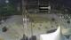 Nova Gorica 24.04.2025 04:33