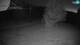 Cerkno 17.07.2025 04:34