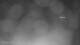 Puerto Rey 02.07.2025 04:34