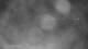 Puerto Rey 09.06.2025 04:34