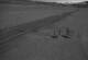 Creede, Colorado 14.06.2025 04:36