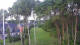 Markgrafenheide 15.06.2025 04:34