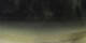Saint-Pair-Sur-Mer 30.04.2025 04:13