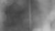 Henne 28.10.2026 04:34