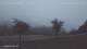 Arriach 09.06.2025 04:49