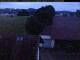 Hunderdorf 11.07.2025 04:49