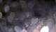Germantown, Maryland 09.06.2025 04:46