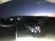 Thiene 14.07.2025 04:52