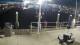 Placida, Florida 30.04.2025 04:50