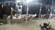Placida, Florida 09.06.2025 04:50