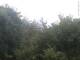 Herdecke 22.05.2025 04:50