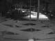 Punta Cana 05.06.2025 04:51