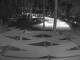 Punta Cana 11.05.2025 04:51