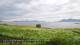 Laukvik 15.06.2025 04:52