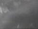 Fort Lauderdale, Florida 03.07.2025 04:49