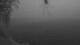 Webster, New York 08.06.2025 04:51