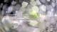 Stallings, Caroline du Nord 11.05.2025 04:54
