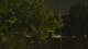 Callisburg, Texas 15.06.2025 04:54