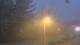Wishkah, Washington 11.07.2025 04:55