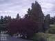 Son en Breugel 15.06.2025 05:46