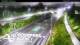 Te Atatu South 15.06.2025 05:52