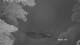 Nairobi 08.07.2025 05:52