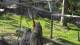San Diego, California 04.07.2025 05:53