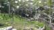 San Diego, California 08.05.2025 05:53