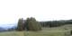 Radein 15.06.2025 05:53