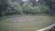 Tustin, Michigan 14.06.2025 05:53