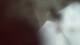 Buchanan, Virginia 30.06.2025 05:58