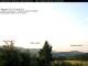 Birnbrunn 15.06.2025 05:53