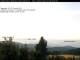 Birnbrunn 09.07.2025 05:53