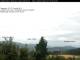 Birnbrunn 10.07.2025 05:53