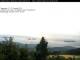Birnbrunn 03.07.2025 05:53